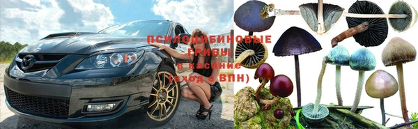 эйфоретик Волосово