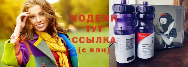 мдпв Волоколамск